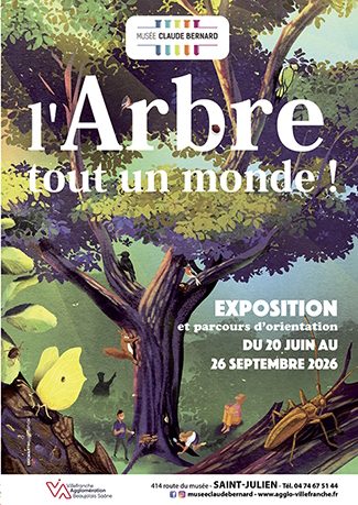 BIG UP N°16 - 06-2026 L'arbre tout un monde
